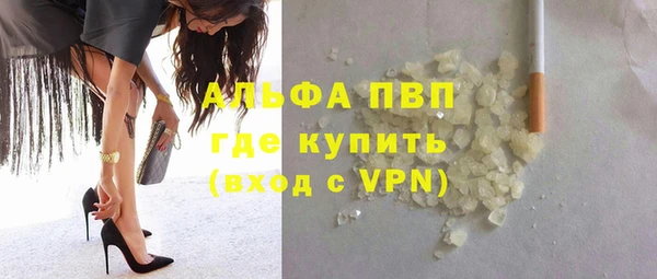 сатива Армянск