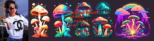 каннабис Аркадак