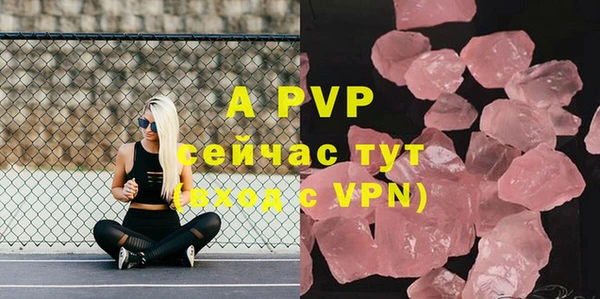 сатива Армянск