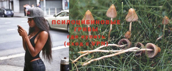каннабис Аркадак