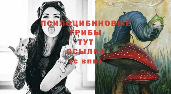 скорость Арсеньев