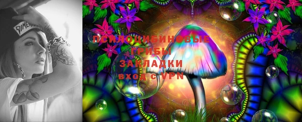 каннабис Аркадак