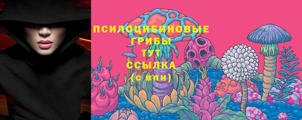 скорость Арсеньев