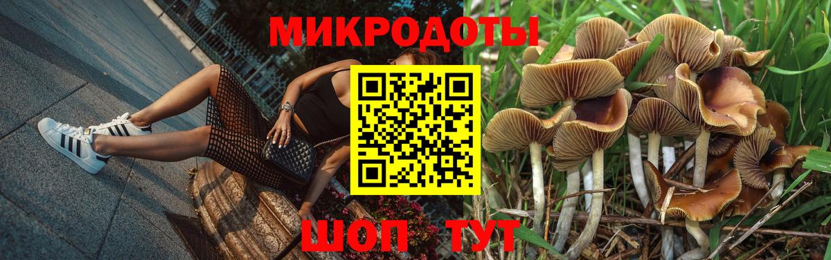 Галлюциногенные грибы ЛСД Белово